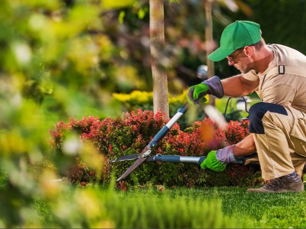 Landscaping business at work