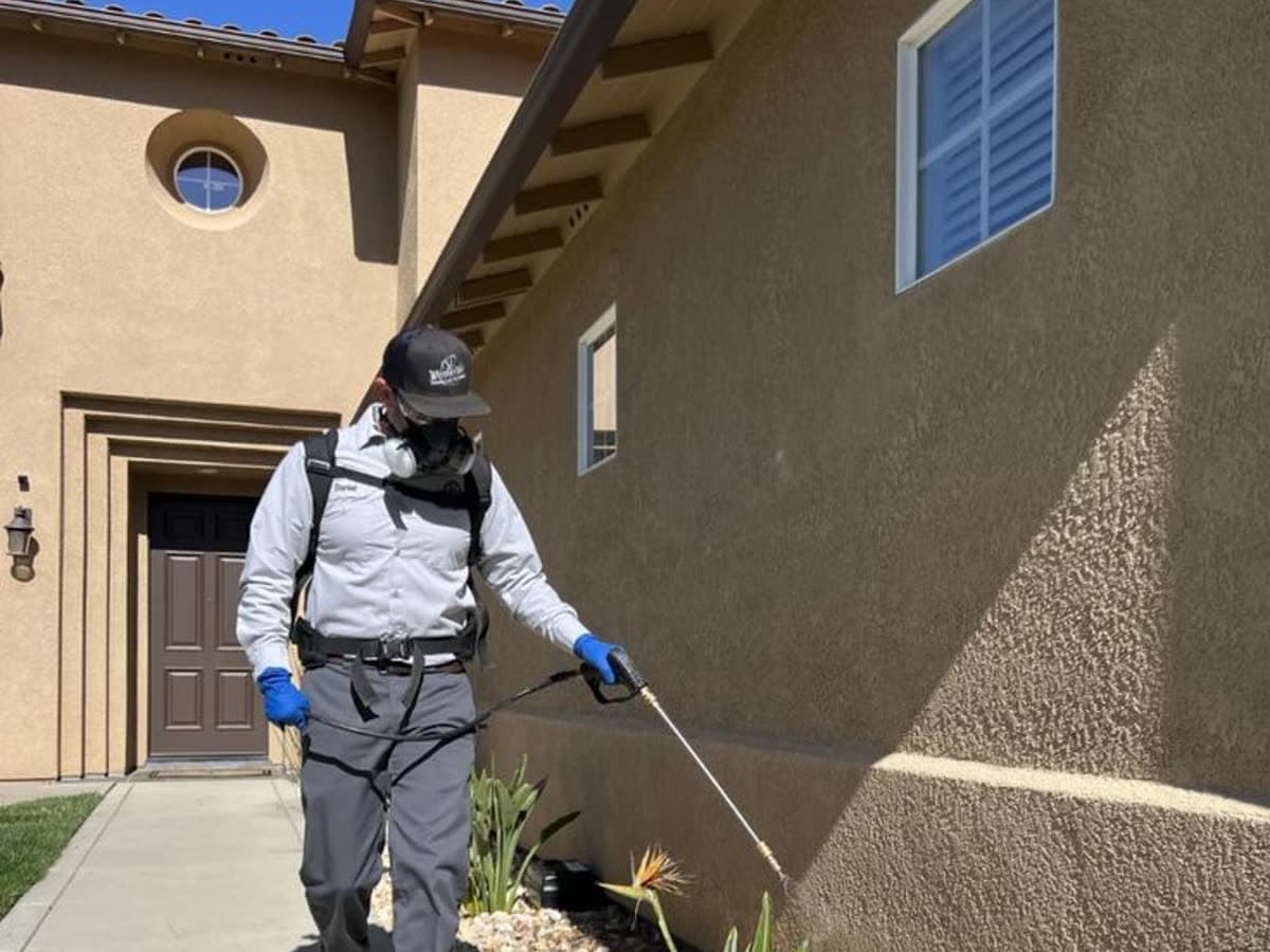 Pest Control business at work